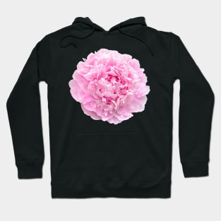 Pretty Pink Peony Flower for your Hydro Flask Hoodie